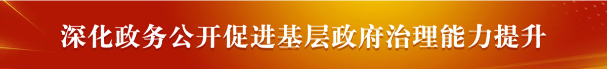 深化政務(wù)公開促進(jìn)基層政府治理能力提升