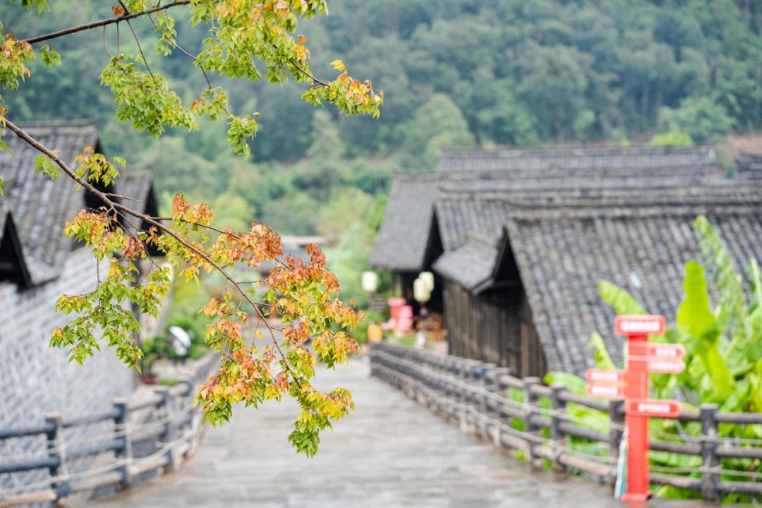 藏在馬湖府古城的秋意 | 一步一景皆是浪漫，錯過等一年！