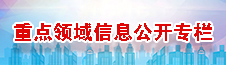重點(diǎn)領(lǐng)域信息公開(kāi)